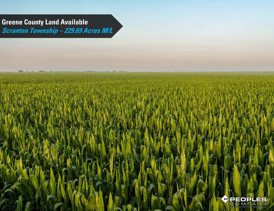 Listing Photo: Greene-County-Iowa-Land-Available-Scranton-Iowa-229-Acres-19614 (5)